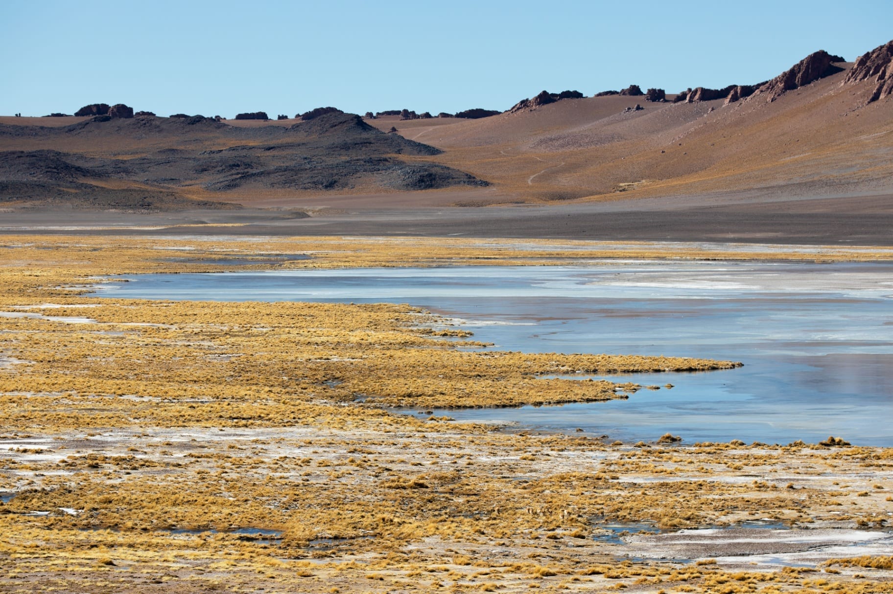 Laguna com capim dourado e montanhas vermelhas