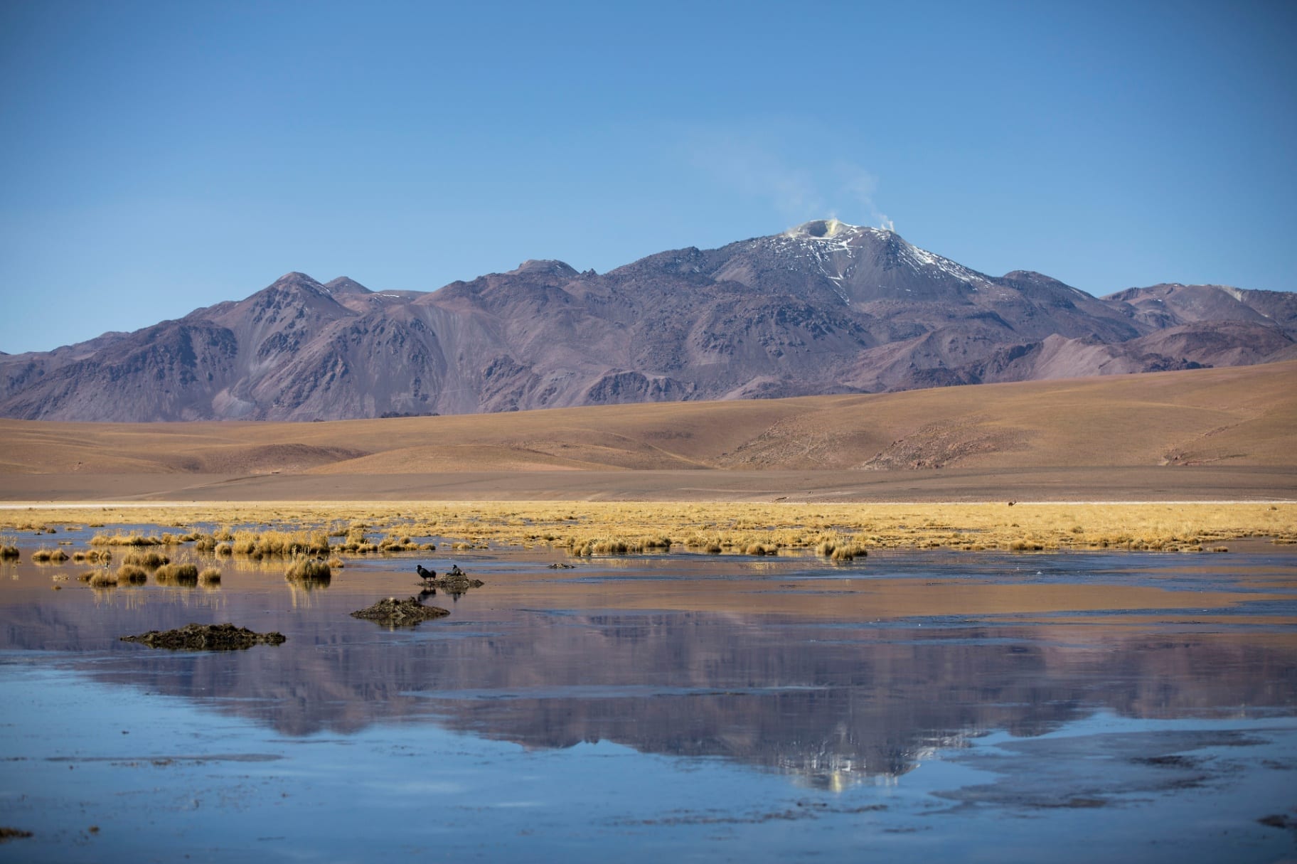 Vulcão fumegante refletido em laguna do altiplano