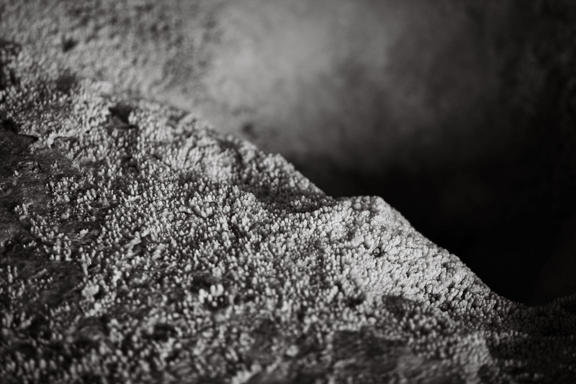 Textura mineral cristalizada em macro preto e branco