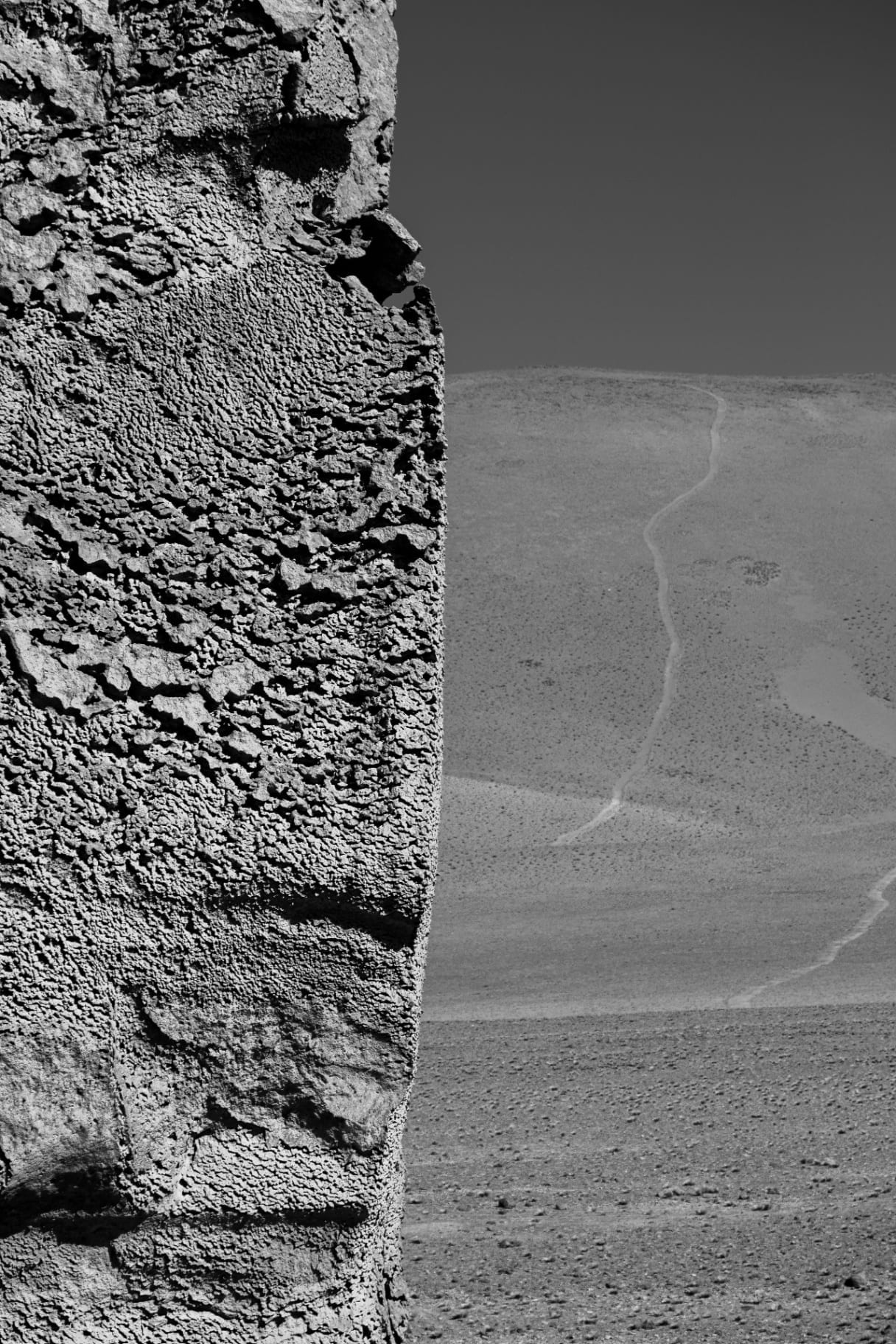 Textura de rocha em primeiro plano e deserto ao fundo em preto e branco