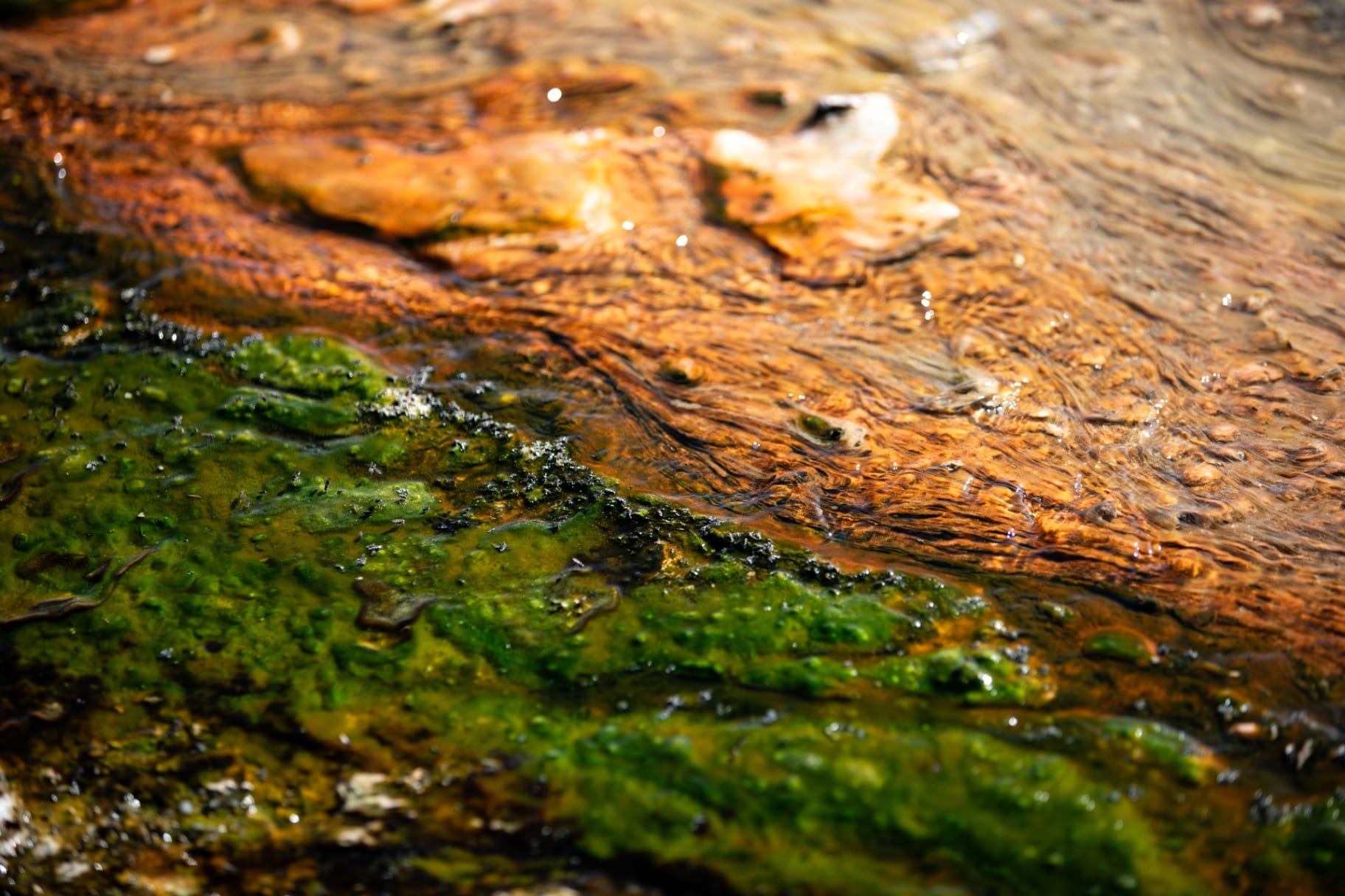 Água mineral com manchas verdes e ocres em detalhe abstrato