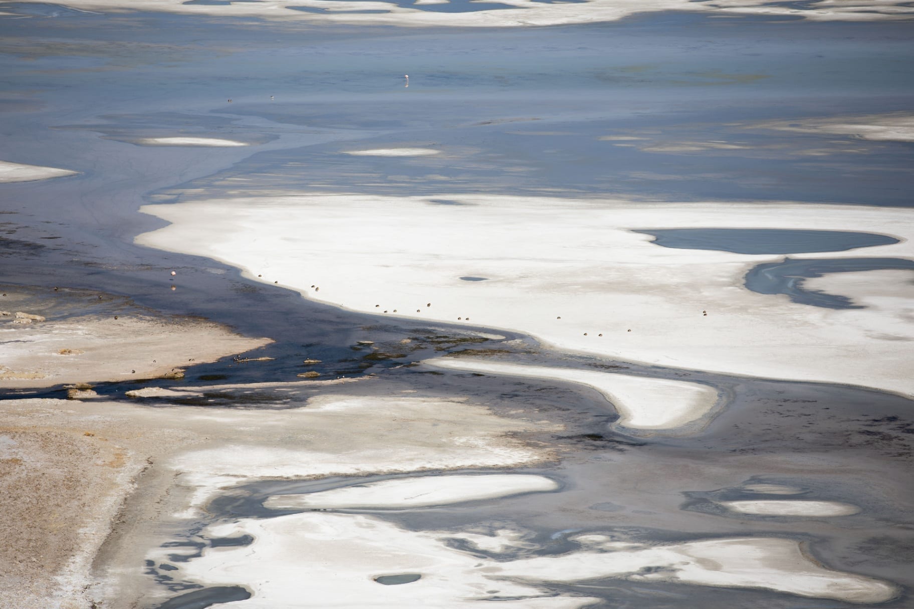 Salar com flamingos distantes e poças refletindo o céu
