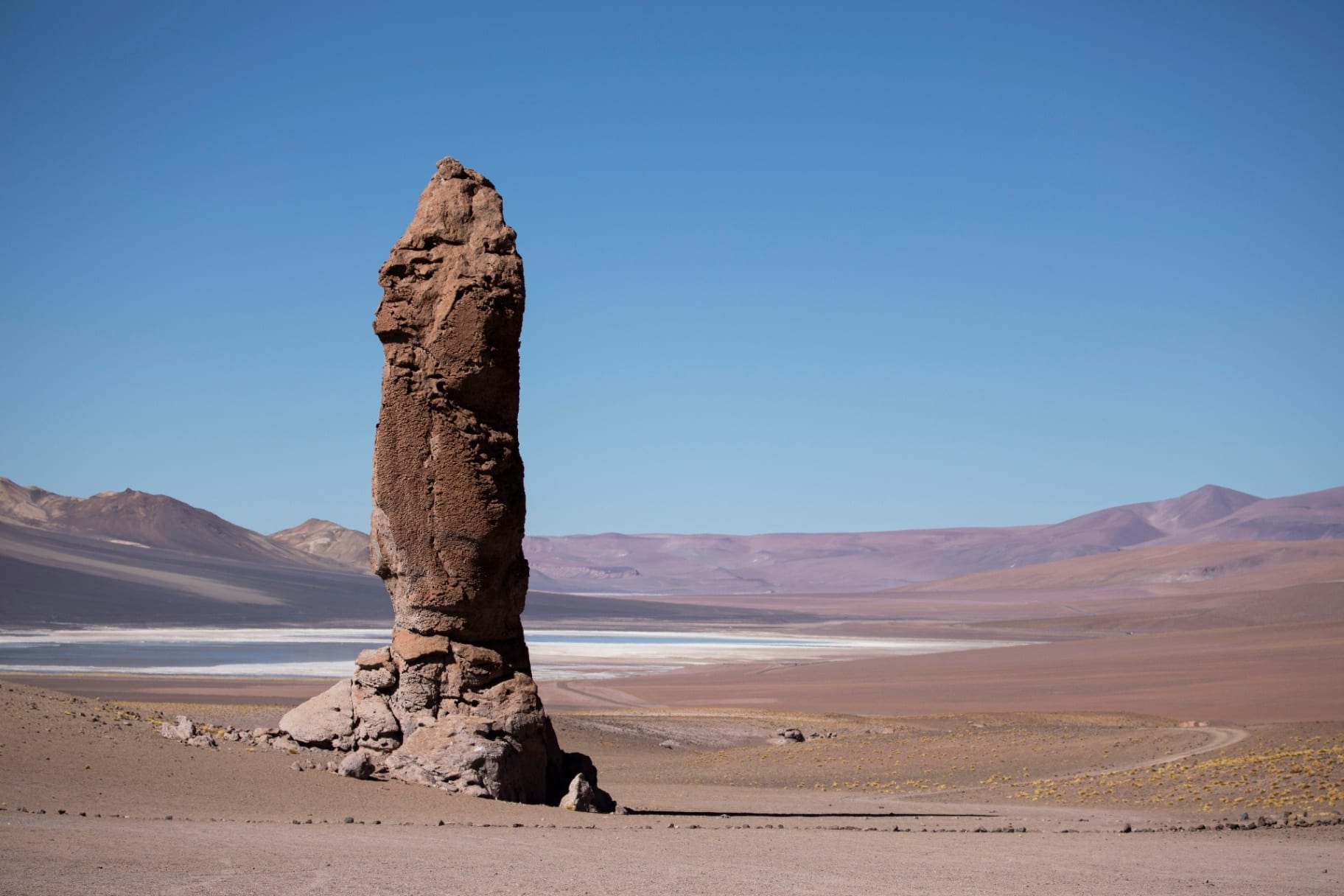 Monge de Pedra solitário diante do salar e cordilheira