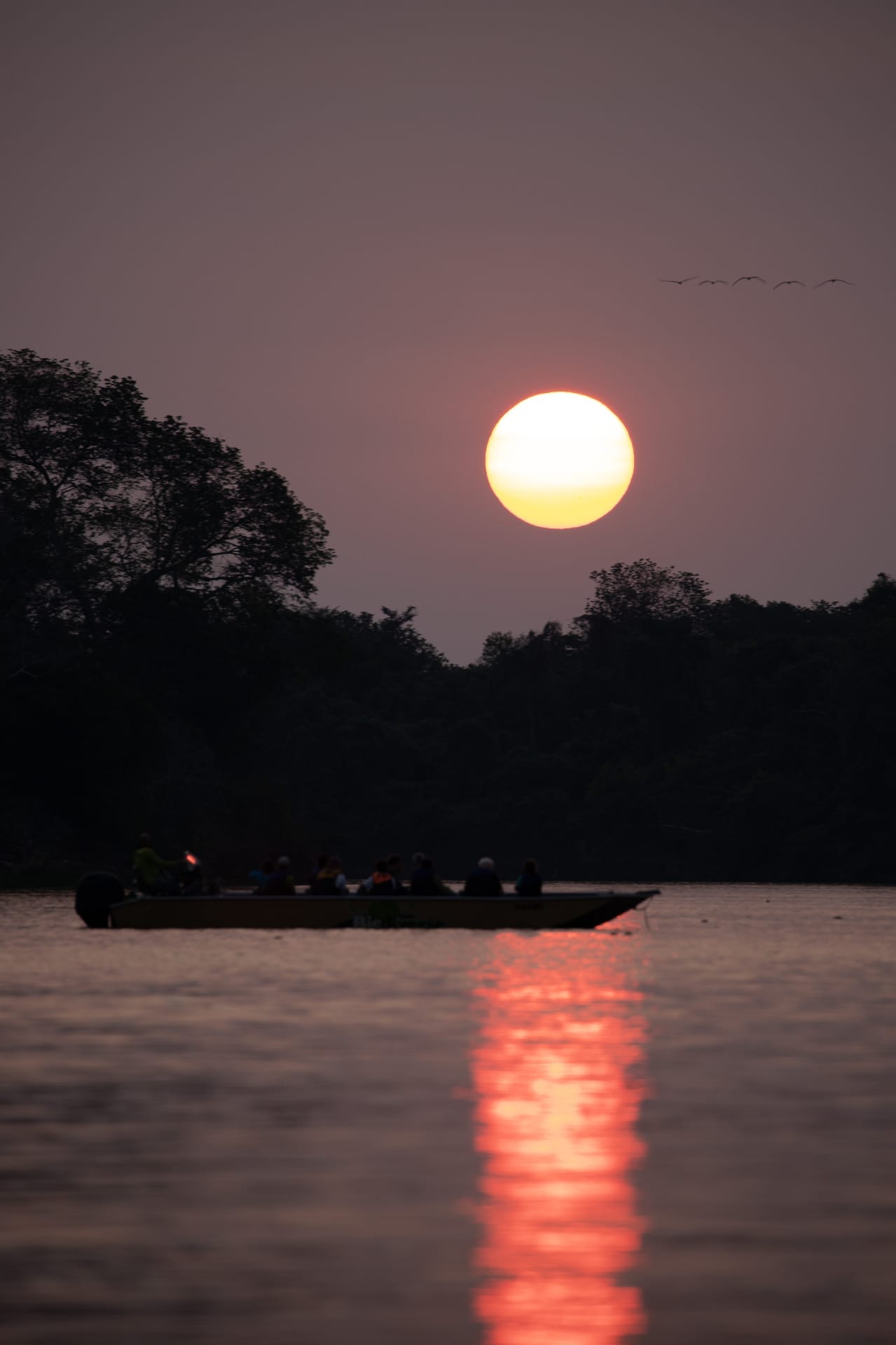 Pôr do sol sobre o rio com barco e pássaros